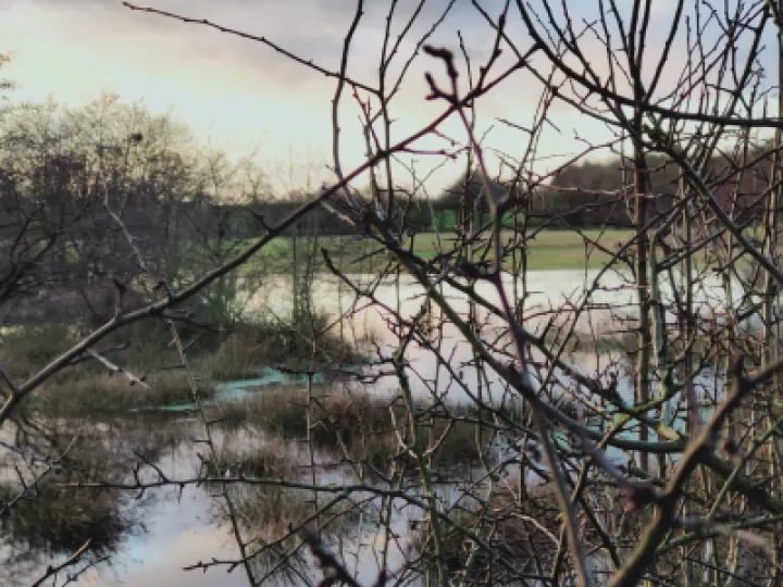 TOL Hochenhall Farm Mere IMG20210121161505[290041]