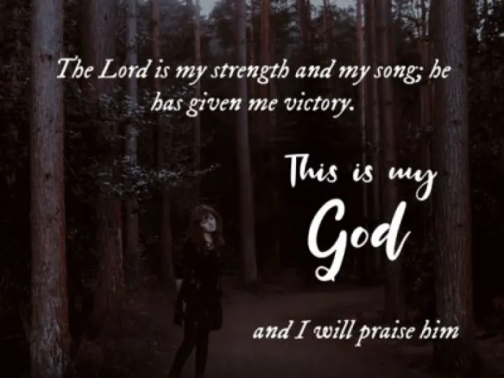 Reflections Hope and Millie 31-01-2021