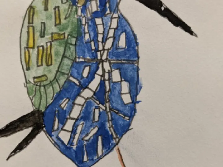 thumbnail_PXL_20210204_171101503