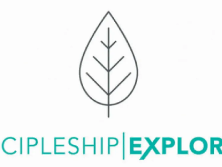 DE logo