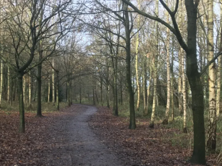 Woodlands &ndash; Grogans Walk Dec2020 2