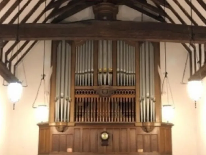 organ