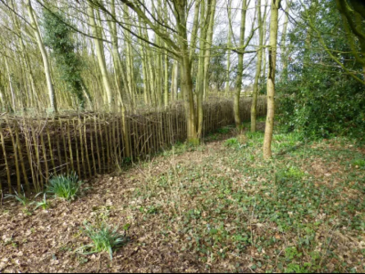 TCW Dead Hedge Nearing Completion