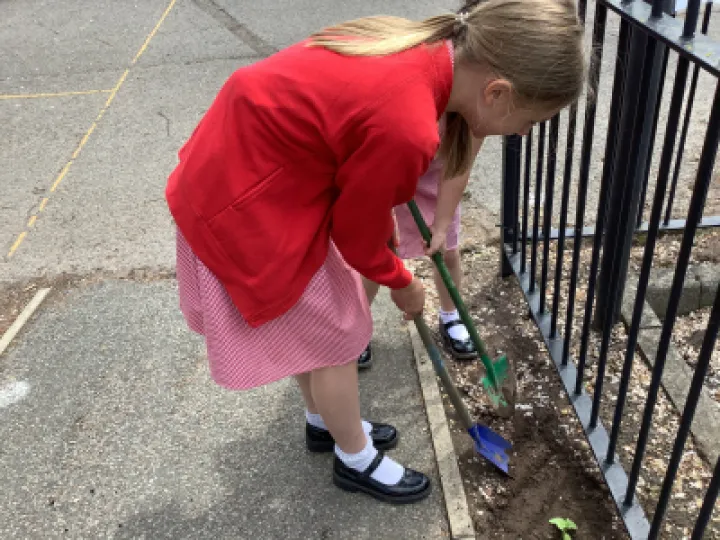 A5B74046-5033-4AF5-9A06-DACA7F244C1E