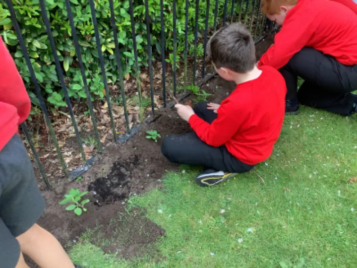 Image: 9563ADD9-6292-4E5F-8C35-B7D0B70A6AF9