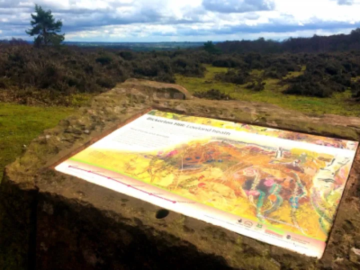 bickerton-panel-015-1000x666-800x533