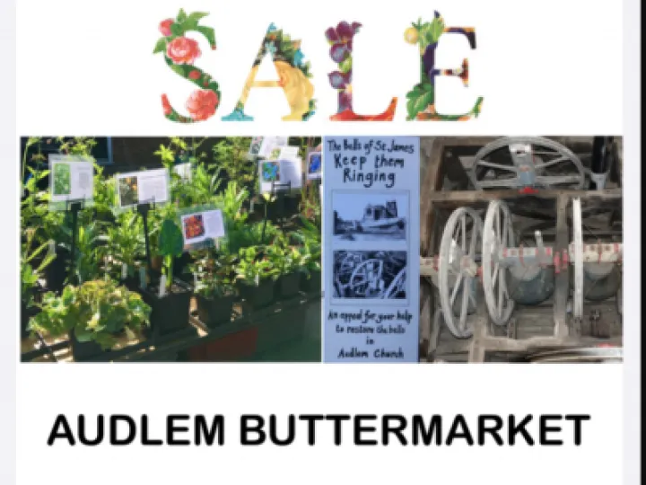Plant sale Bellringers