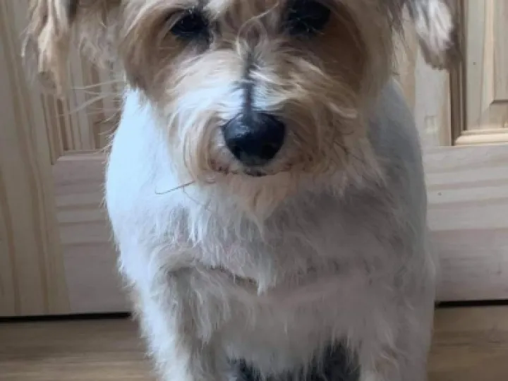Tilly