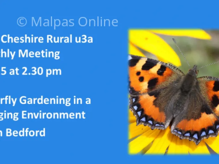 U3a July 2021 Butterfly Talk
