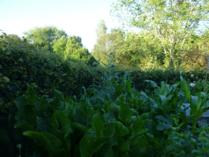 AHFC Ganden July 2021 P1040024