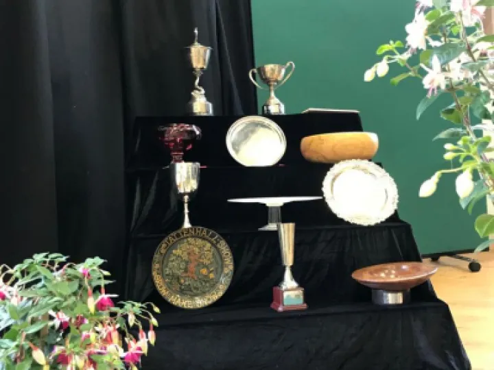 CFDDD7EA-F515-4331-BD3C-B61DEC4C346B