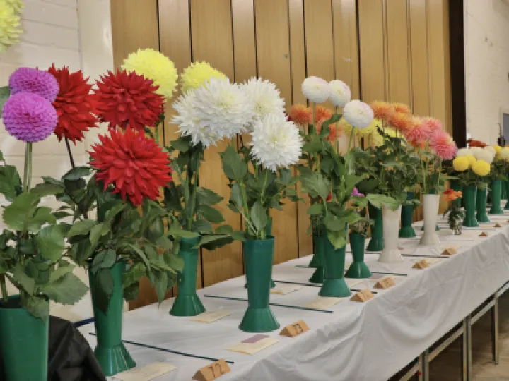 Horticultural Show_Autumn 01