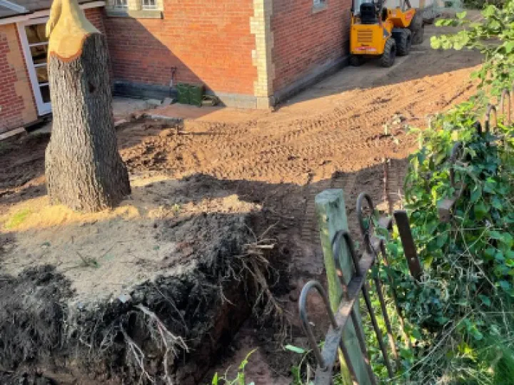 Garden cleared with doves