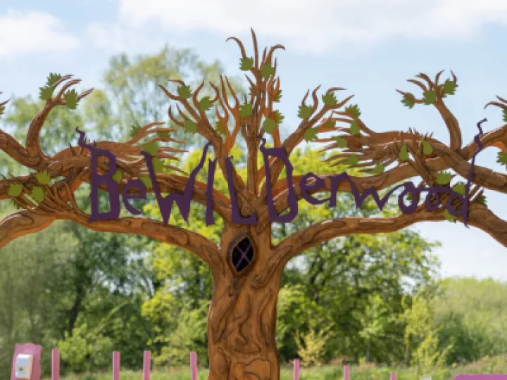 Bewilderwood tree sign