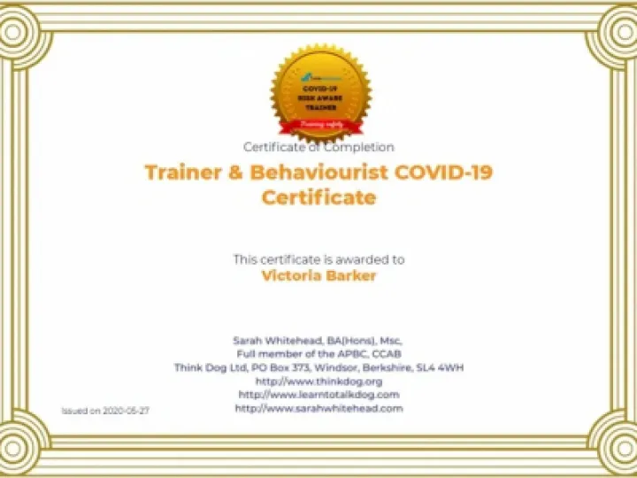 Trainer and Behaviourist Certificate