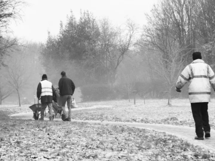 Woodland volunteers black 7White