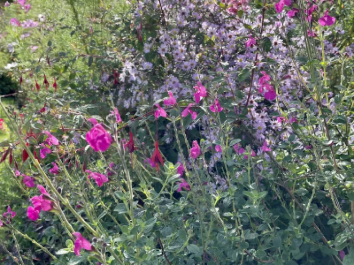 ABFC28D2-C031-4E5D-B632-5961D994F7A9