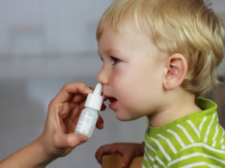 shutterstock_65331166