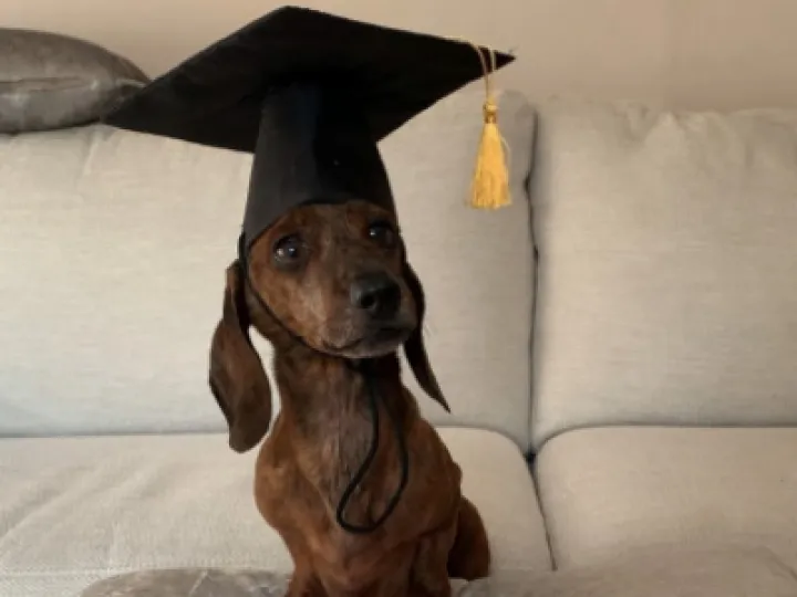 Louie with his Bronze Good Hoopers Award