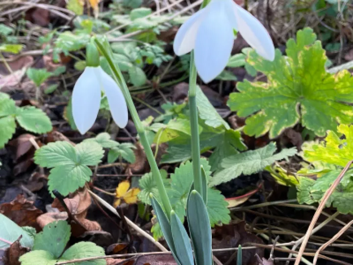 F80D1CDB-4C43-4321-9F74-EFB5ED267C0C