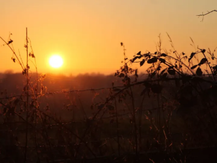 Tarvin Sunset Jan 22 &ndash; 1