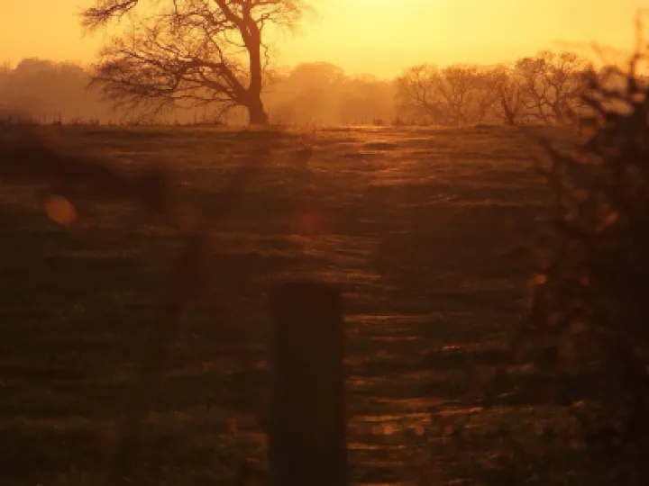 PHOTO-2022-01-14-20-02-49