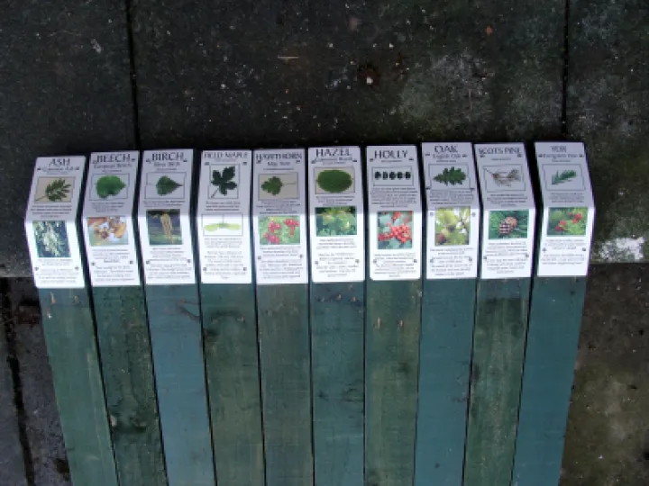 First Ten Identifier Signs