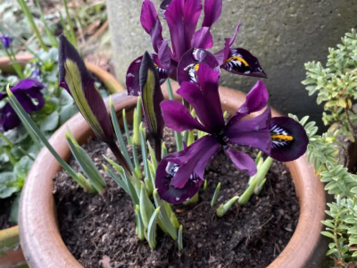 ABAA1039-B571-4FDA-8B70-2A9078EA4FD6