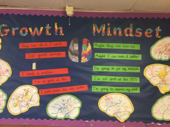 Pearl growth Mindset