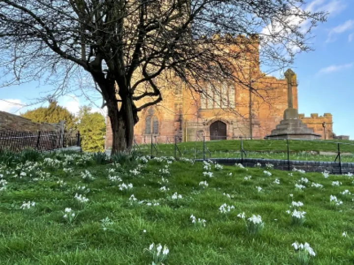 Church Snowdrops