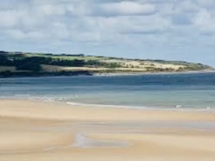 49BB3C03-2602-4A3B-98BB-3F1ABF8C412C