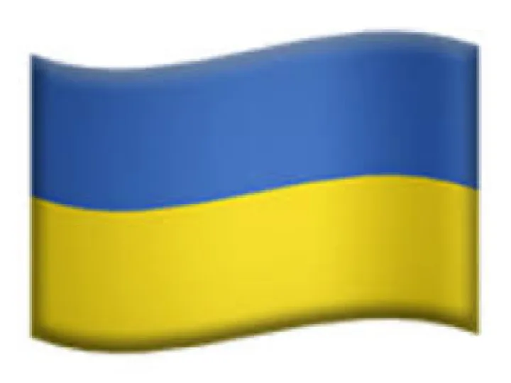 Ukraine Flag