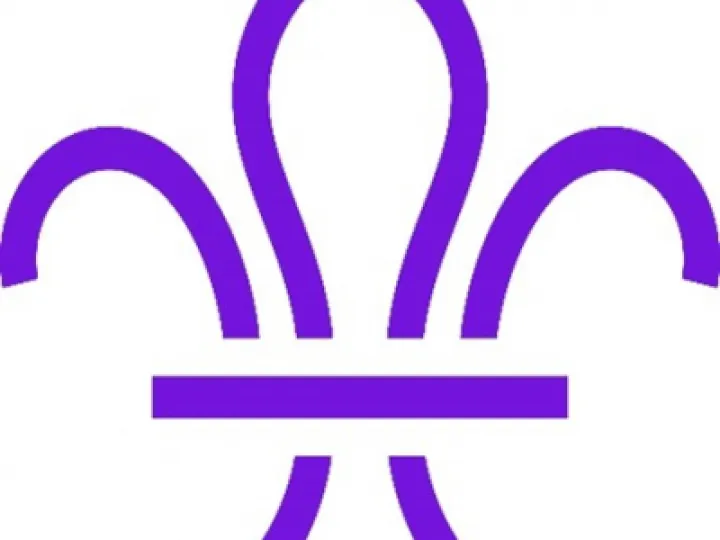 Scout Logo Picture1