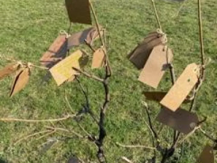 6DB01072-A4F8-46EC-BDF4-0AD8AF27322B