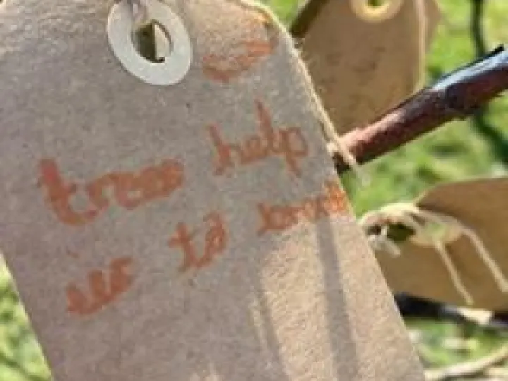 FE86AD57-41DB-47BF-83F9-F45A470505C2