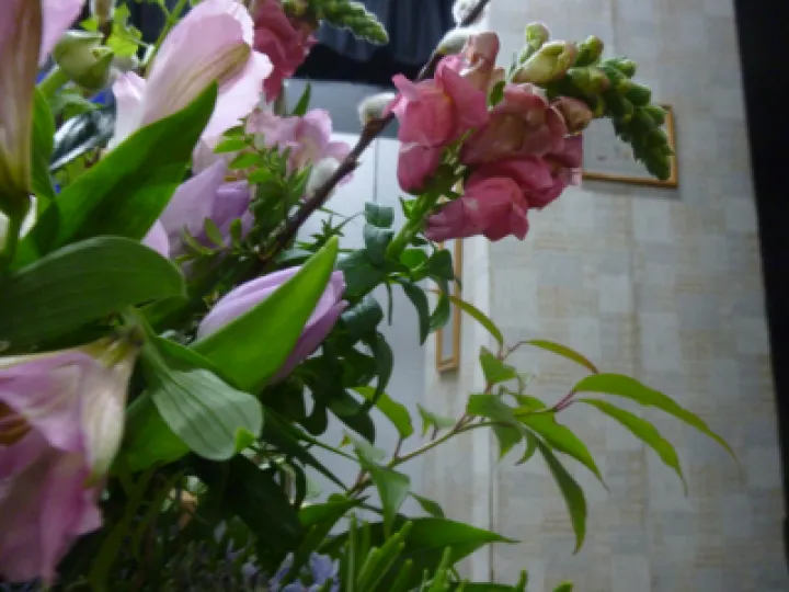 Flower Club March 2022P1040106