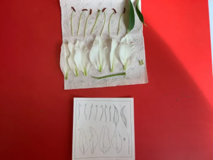 C63B4A64-3476-46D2-A968-CCD734482250