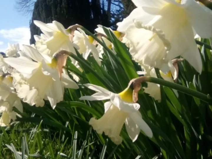 IMG_20220402_143415_1