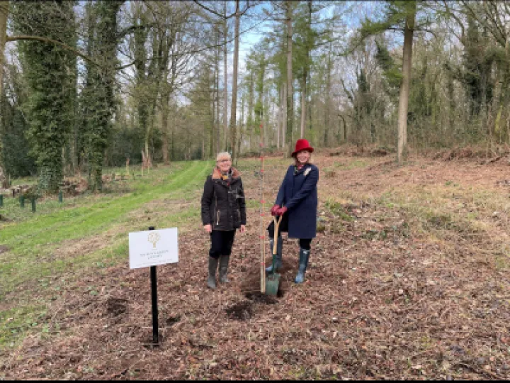 Tree planting at Combermere