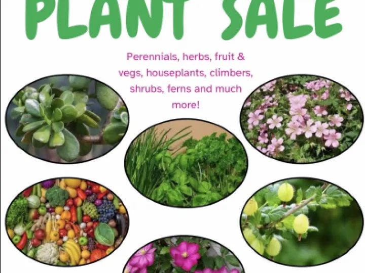 8F25F325-42B2-4884-9266-9FE2DA67B860