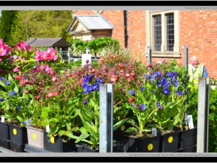 PJ 2022 04 30 09 57 16 01