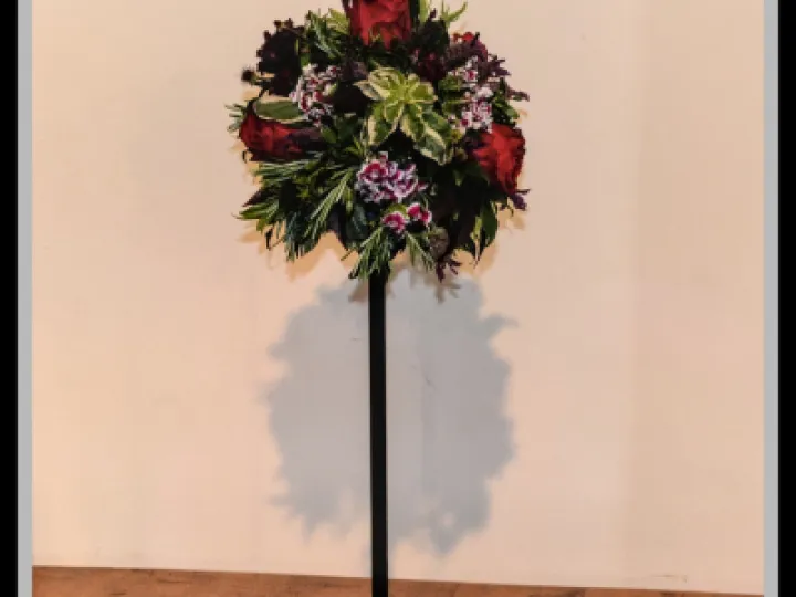 Pj 20220531 104205 0014