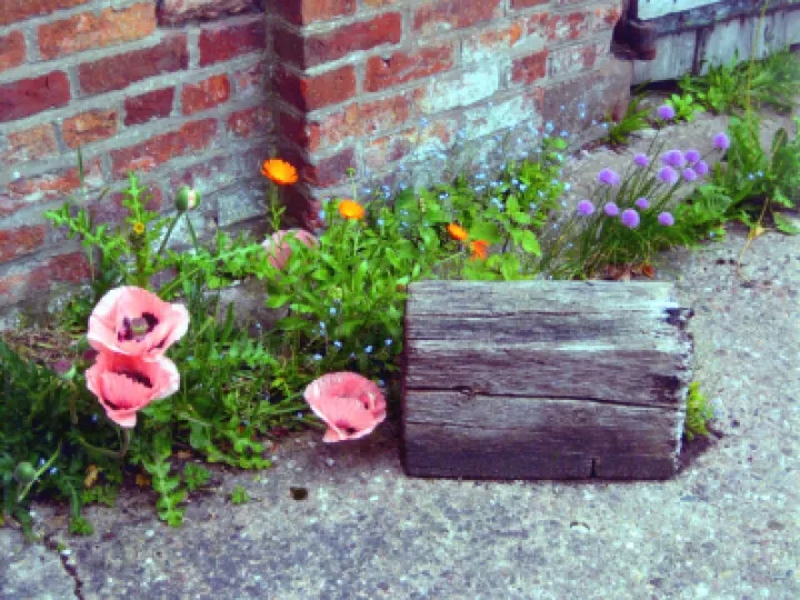 BS 2022 06 04 EPSON009