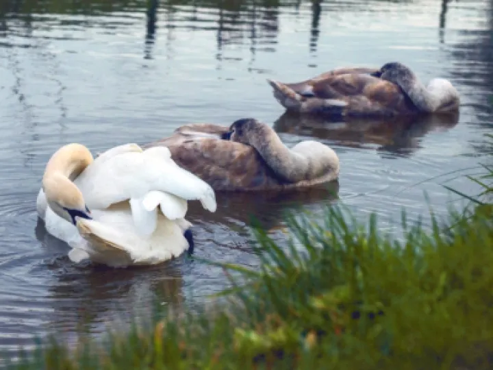 RB 2022 06 04 EPSON007