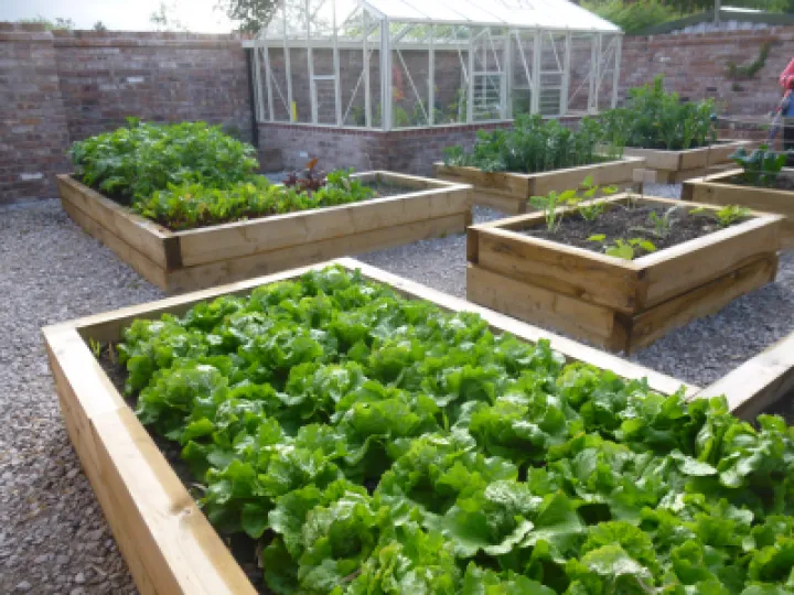 Flower Club JUne 2022 P1040153