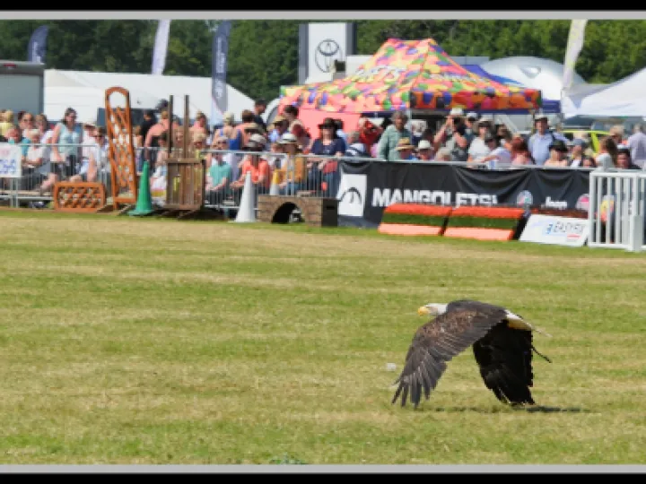 Pj 20220622 142150 0010