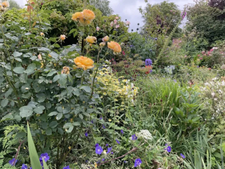 D3BBBECC-1F8B-47BD-A5FC-EFABDB52023C