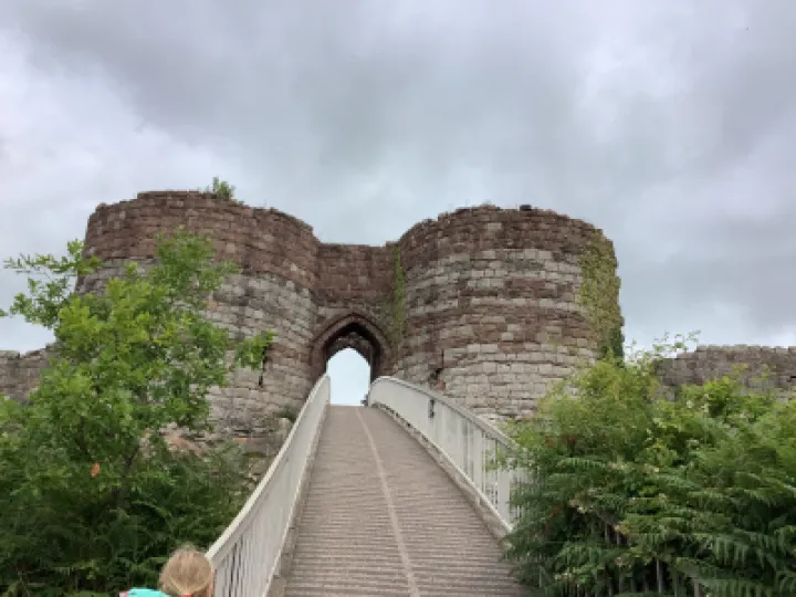 2163318A-0CAA-470E-84AA-C92E991AFC0D