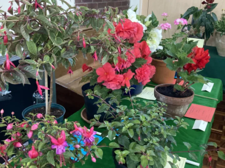 THS 2022 Flowers (1) IMG_0124[358013]