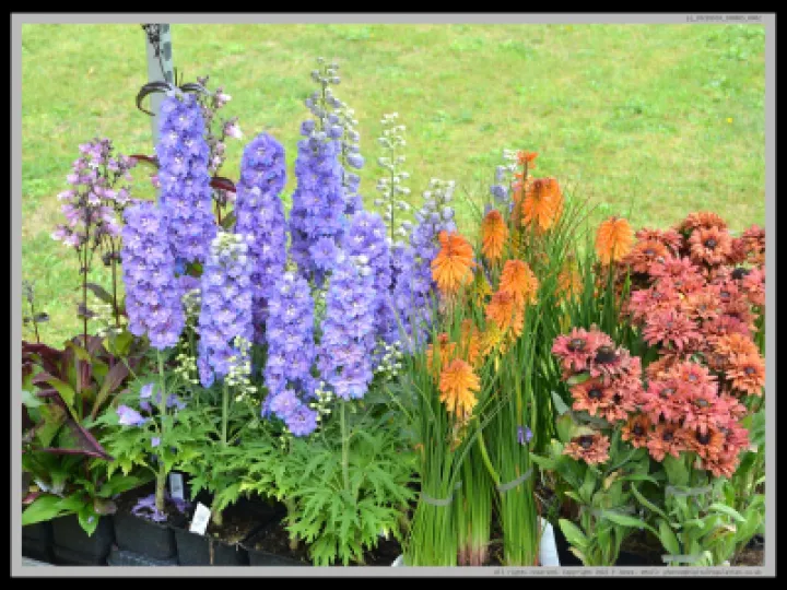 Pj 20220910 100005 0002